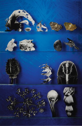 Catalog image of matt lipps | tool (from library)