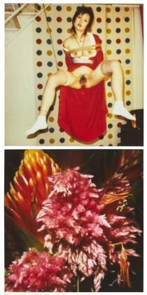 Catalog image of Pola Eros; and, Flower, 2010-2012 (Two Works)
