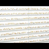 The Dog Days of Damien Hirst