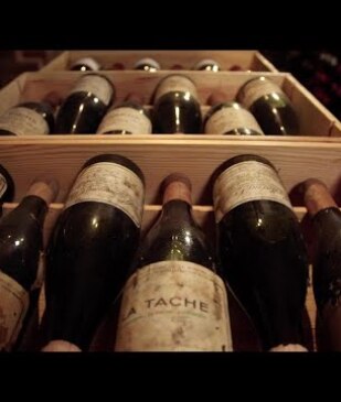 A Taste That’s Eternal — The Legendary Wines of Robert Drouhin