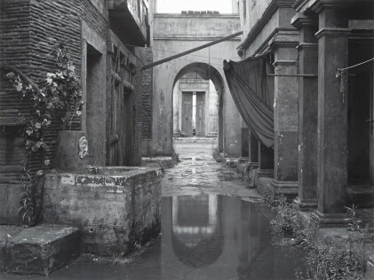 Catalog image of Untitled (18), (from the series Sanctuary), 2009