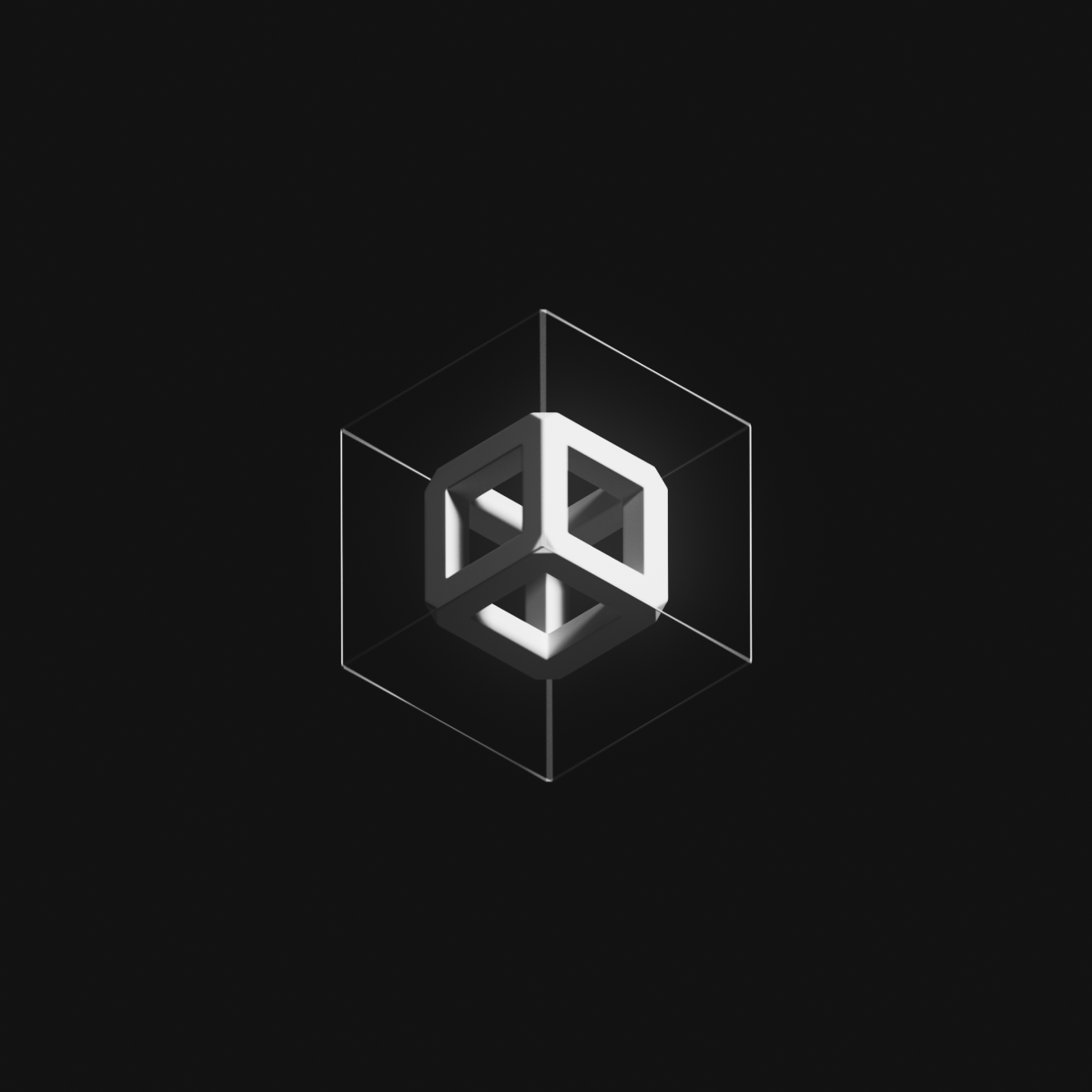 The Fungible Collection by Pak