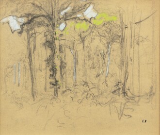 View 1 of Lot 25: Les sous-bois dans le parc des Clayes