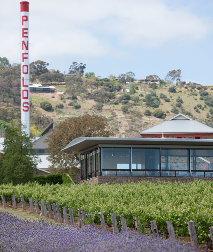 V-MEV_Vines-Lavender-Restaurant_P.jpg