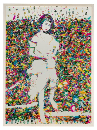 Catalog image of vik muniz | portrait of alice liddell, after lewis carroll (from rebus)