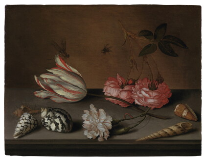 Catalog image of A tulip, a carnation and roses, with shells and insects, on a ledge