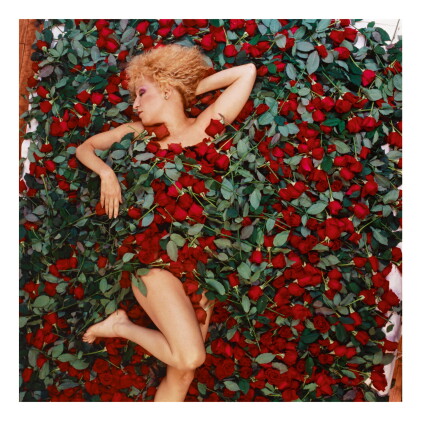 Catalog image of annie leibovitz | bette midler, new york city