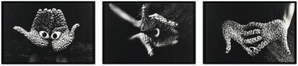 Catalog image of anita dube | offering (triptych)
