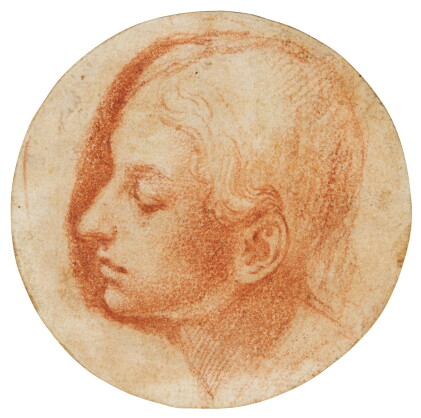 Catalog image of polidoro caldara, called polidoro da caravaggio | head of a young man in profile