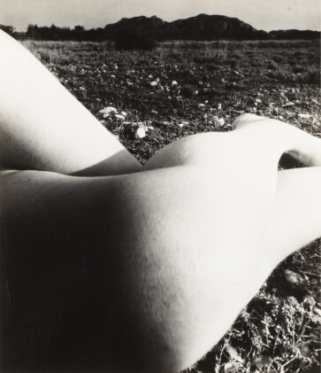 Catalog image of bill brandt | eygalieres, france, 1953