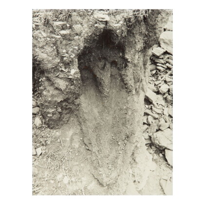 Catalog image of ana mendieta | untitled: silueta series, mexico