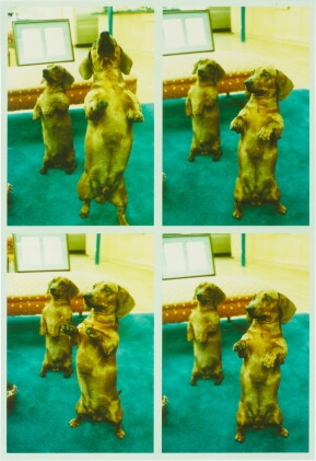 Catalog image of david hockney | 'stanley + heinz, l.a.', 1988