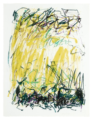 Catalog image of joan mitchell | sides of a river ii