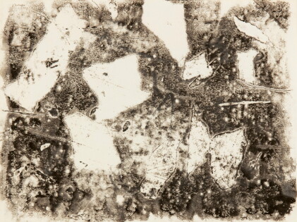 Catalog image of jean dubuffet | empreinte vi