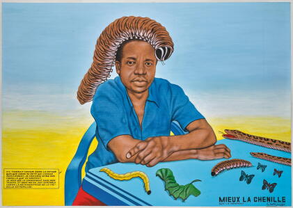Catalog image of chéri samba | mieux la chenille que le serpent