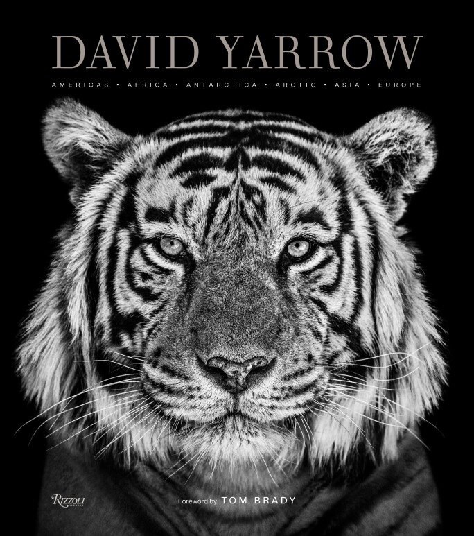 SMG1911-Yarrow-David Yarrow_Cover.jpg