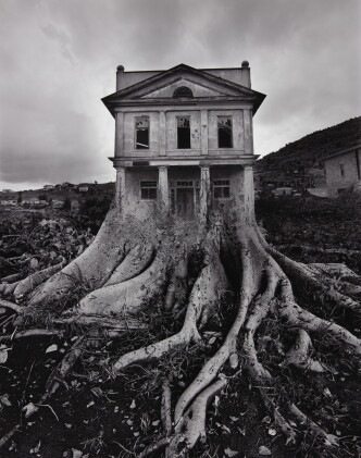 Catalog image of Untitled