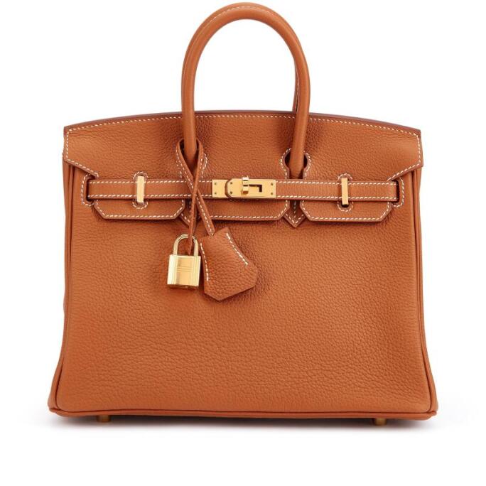 Hermès Birkin 25