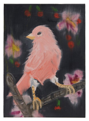 Catalog image of Pink Canary (Stepping Out on Black, with Hollyhocks and Cherries)