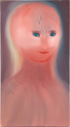 Catalog image of Körperdichte
