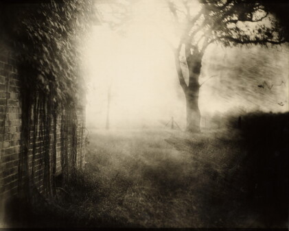 Catalog image of Untitled (Deep South #41)