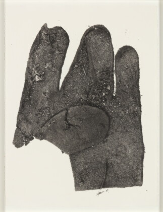 Catalog image of irving penn | flat glove, 1975