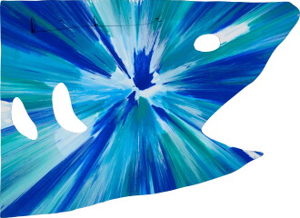 View 1 of Lot 24: Shark Spin