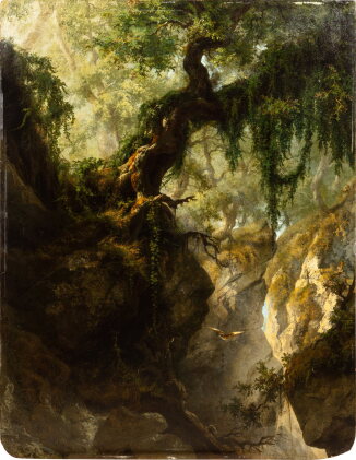 Catalog image of The Depths of the Forest | Les profondeurs de la forêt