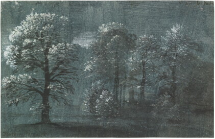 Catalog image of Trees in a landscape