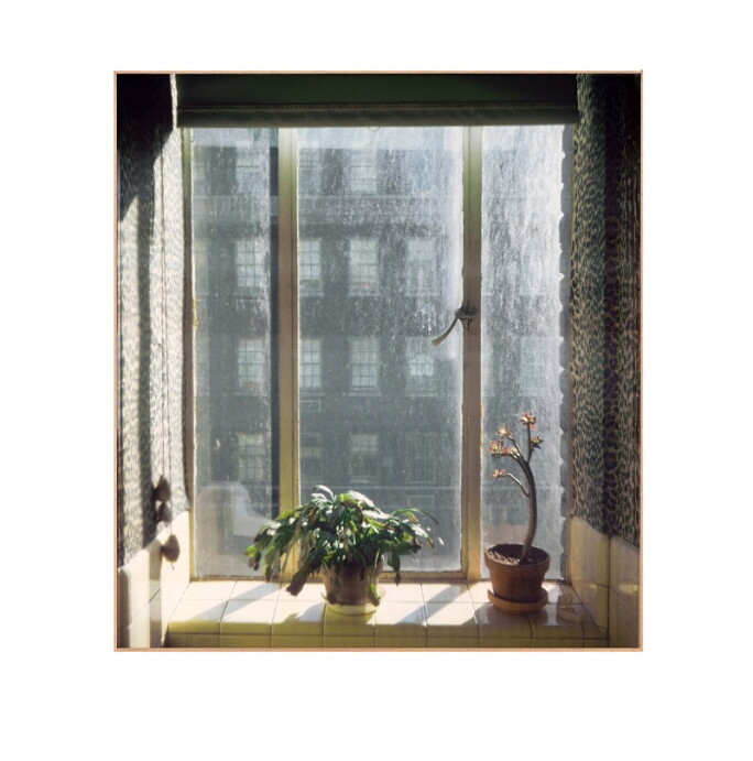 Stephen Shore Edition