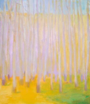 Catalog image of Bald Cypresses