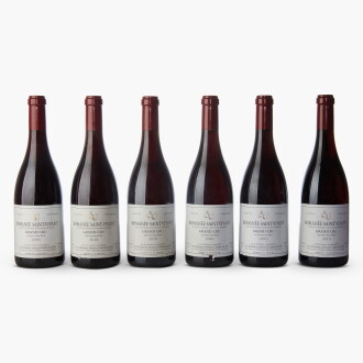 View 1 of Lot 133: Romanée St. Vivant 2010 Sylvain Cathiard (6 BT)