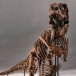 View 2 of Auction: Natural History including Gus Rex