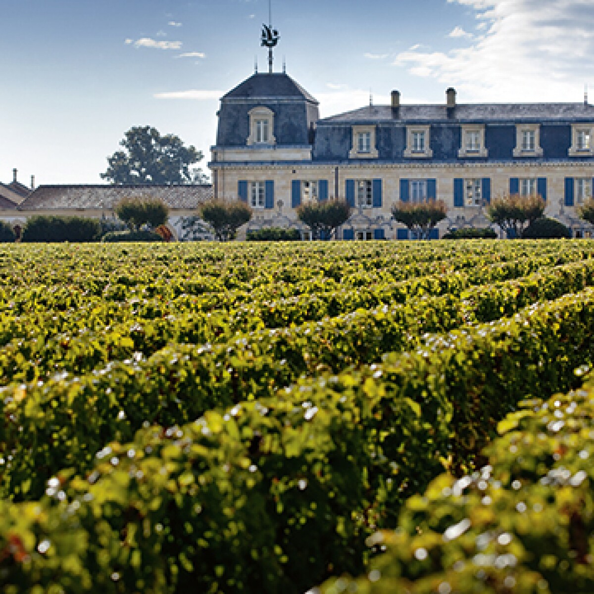 Ch teau La Mission Haut Brion The Noblest Of Missions Wine Spirits ch-teau-la-mission-haut-brion-the-noblest-of-missions-wine-spirits