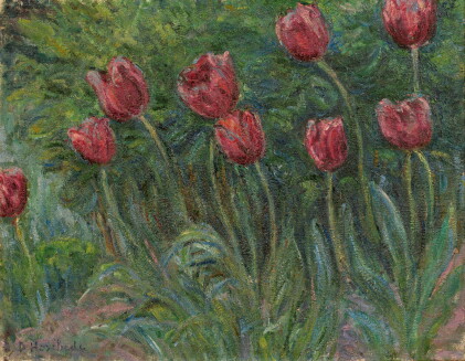 Catalog image of Tulipes (Giverny)