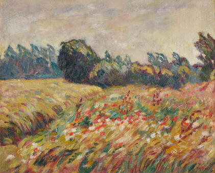 Catalog image of Champ fleuri en Normandie