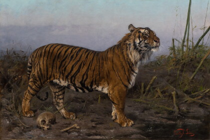 Catalog image of Royal Tiger