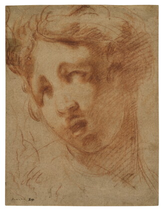 Catalog image of Head of a Youth