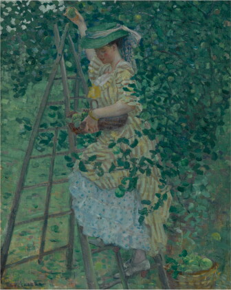 Catalog image of The Apple Tree