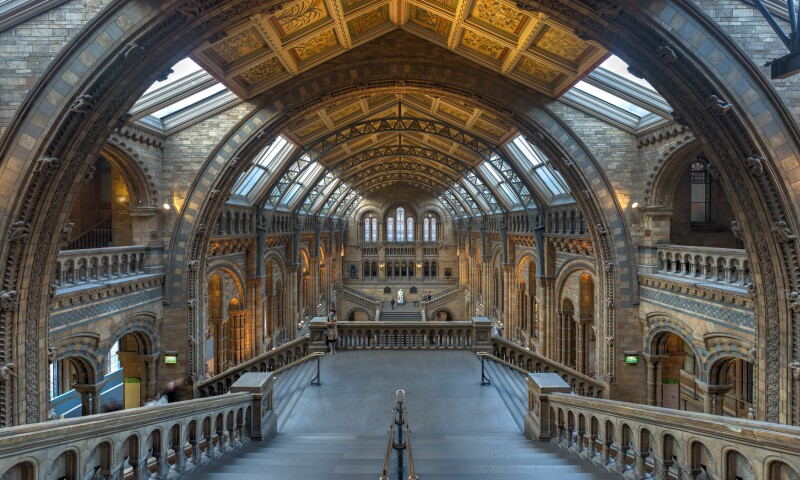 Nat Hist Int.jpg