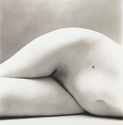Catalog image of Nude 147, 1950