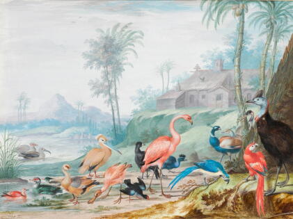 Catalog image of johannes bronckhorst | a group of exotic birds in a landscape beneath palm tree…