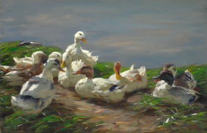 Catalog image of alexander koester | nine ducks on a pond