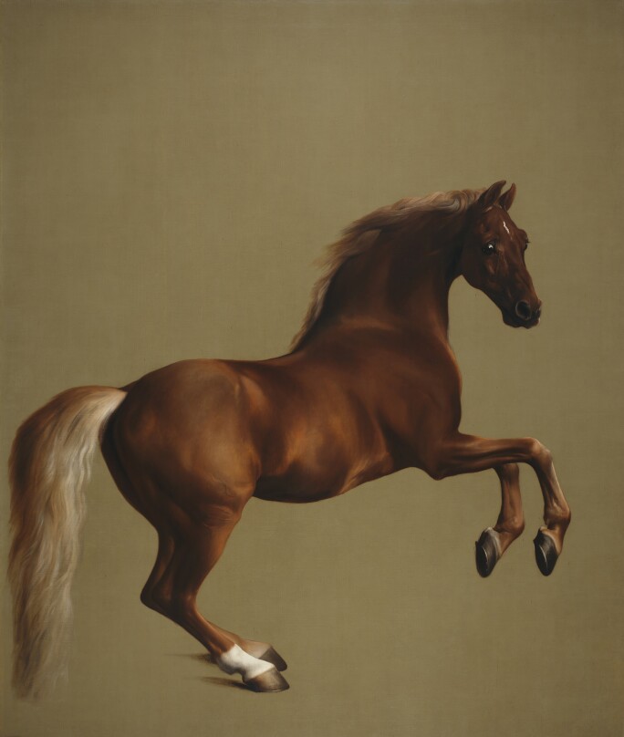 George-Stubbs-Whistlejacket-National-Gallery-London.jpg