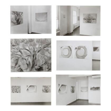 Catalog image of selected images of georgia o'keeffe's 1946 exhibition at an american place