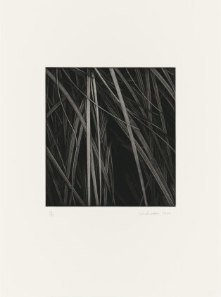 Catalog image of Untitled