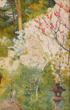 Catalog image of Cherry Blossom (Kyoto)