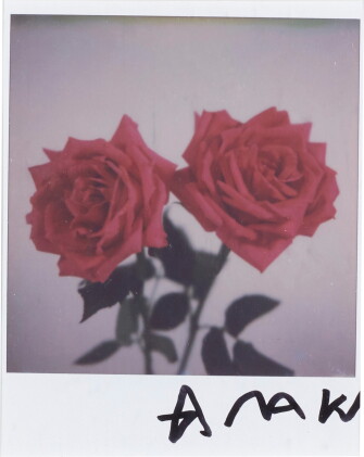 Catalog image of untitled (three works), ca. 2000s