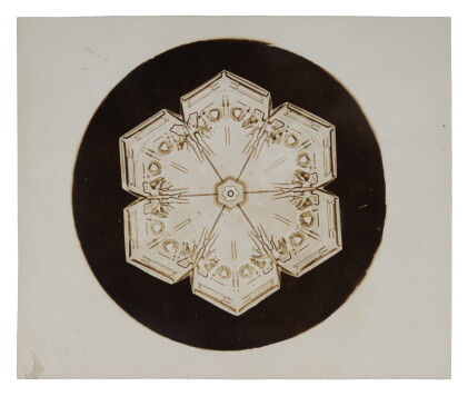 Catalog image of Selected Images of Snowflakes