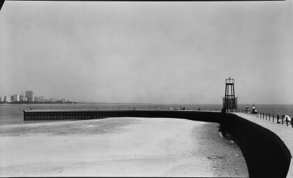 Catalog image of Selected Landscapes